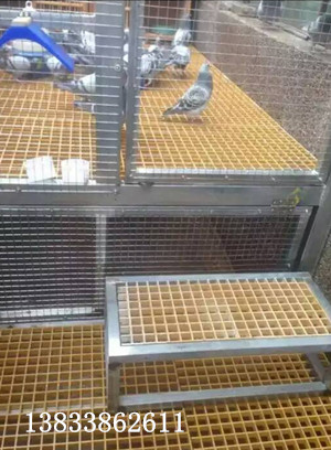 鴿棚網(wǎng)格柵 鴿棚網(wǎng)格柵